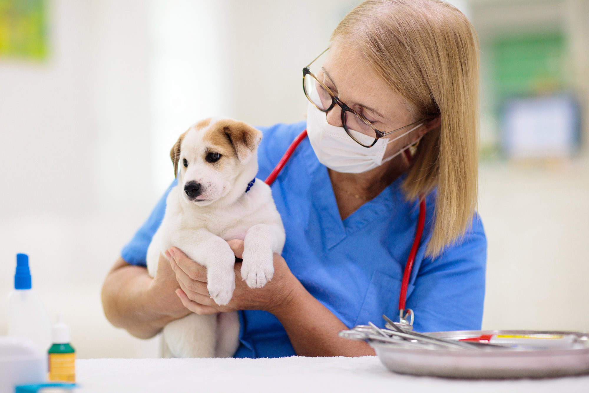Tieräztin mit Hundewelpem